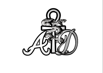 the anomaly devs4gsnk